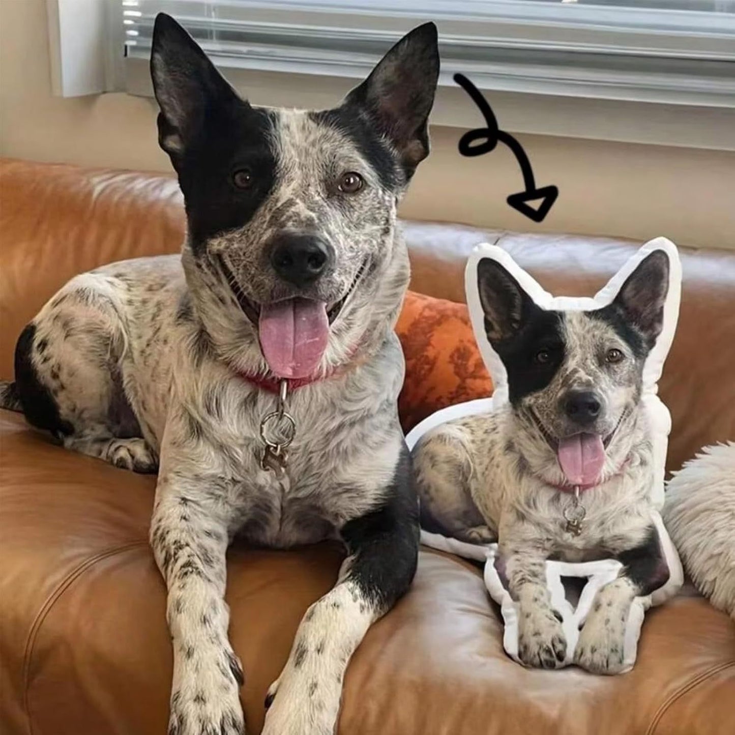 Pet special-shaped throw pillow 3D visual double-sided color picture Customized according to the picture Environmental protection material Removable and washable