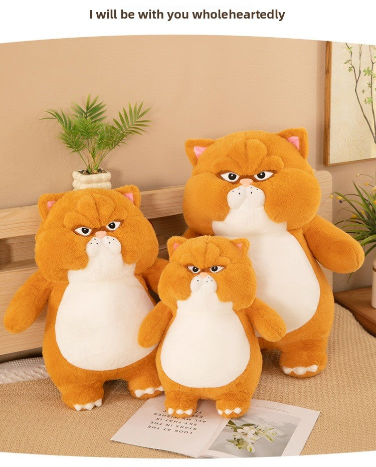 Different Sizes of Kawaii Orange Cat Plush Toys on Bed